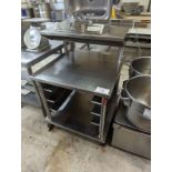 3 Tier Stainless Steel Table on Casters