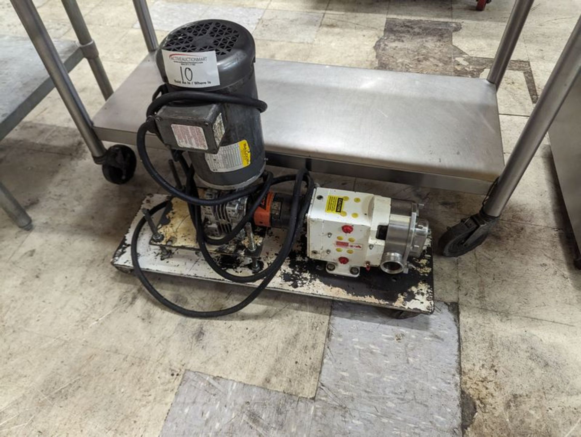 2 HP Stainless Steel Fluid Pump on Casters