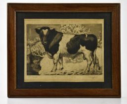 † CHARLES FREDERICK TUNNICLIFFE (1901-1979); an etching of a Friesian bull signed lower right, dated