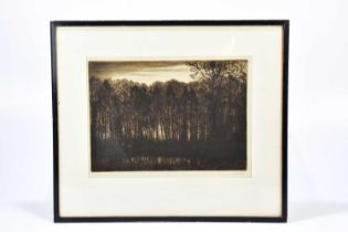 † ALFRED R BLUNDELL; a signed etching, 'The Wood of Swainsthorpe', signed lower right, 28 x 38cm,