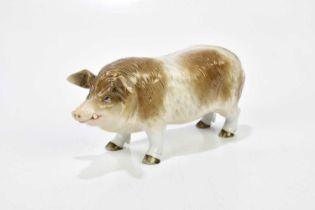 ERNST BOHNE & SON; a Continental porcelain model of a boar, length 21cm. Condition Report: Very