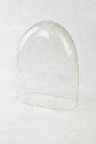 A glass dome, height 32cm. Condition Report: Height 29cm, width 26cm, depth 12.8cm.