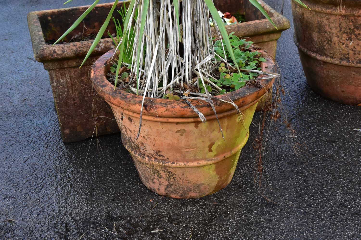 Four garden planters, comprising a circular planter, height 42cm, two square planters and a - Image 4 of 4