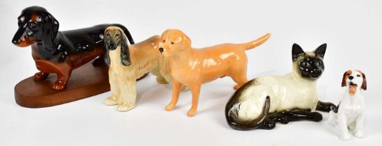 BESWICK; a model 'Hajubah Of Davlen' Afghan hound, labrador, model of a cat, Royal Doulton seated