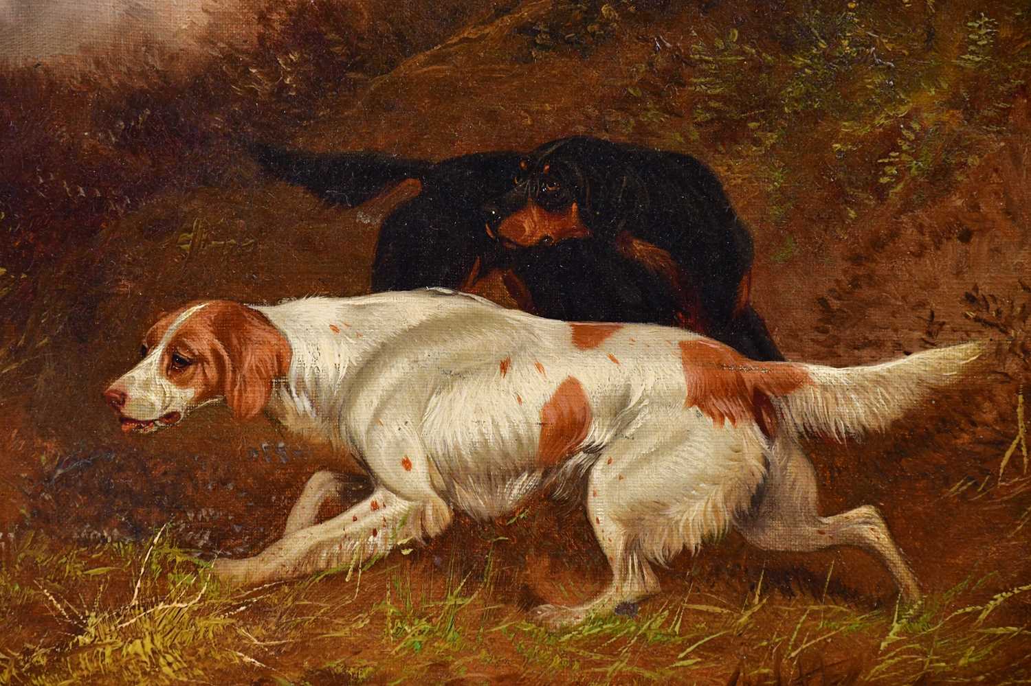 COLIN GRAEME (1858-1910), oil on canvas, two hunt dogs in bracken, signed and dated 1900, 24.5 x - Bild 2 aus 3