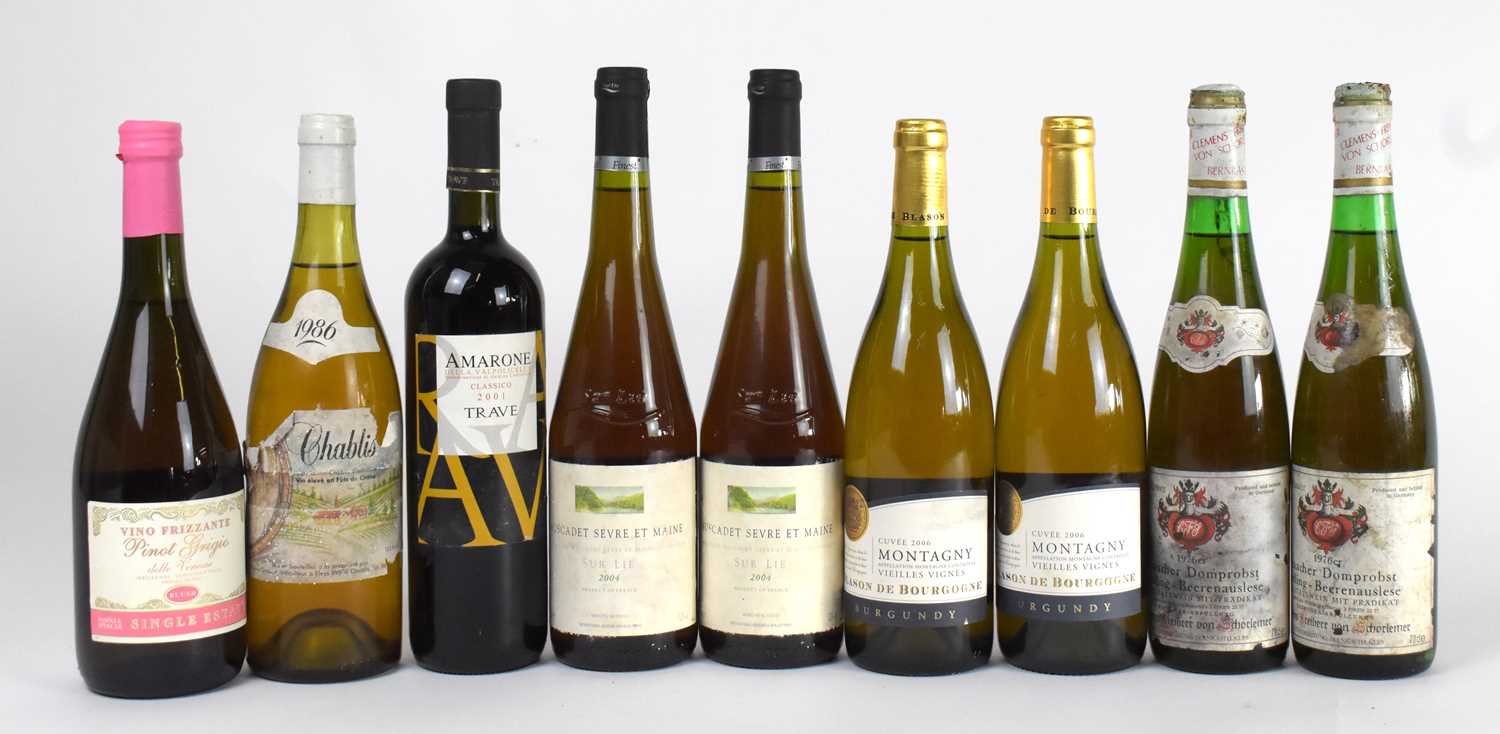 MIXED WINE; nine bottles mixed wine, including a bottle Amarone Trave 2001, etc (9)