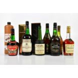MIXED SPIRITS; assorted spirits, including Napoleon French brandy Bardinet, Calvados, a bottle of