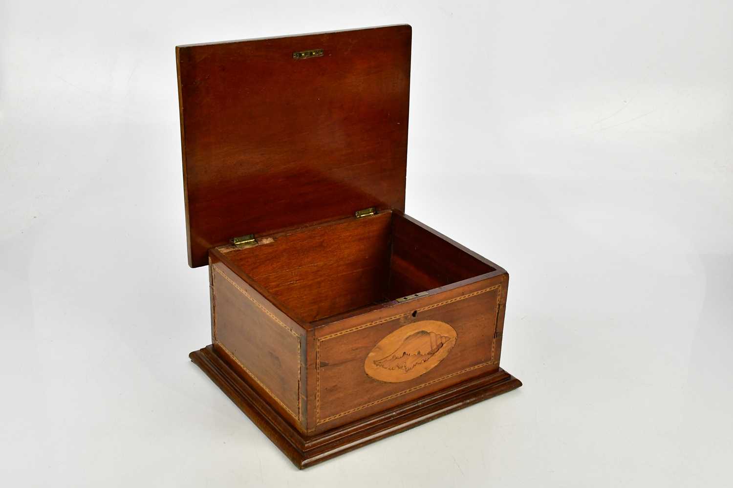 An Edwardian inlaid mahogany box of rectangular form, width 30cm, depth 26cm, height 18cm. - Image 4 of 5
