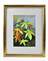 † GEOFFREY KEY (born 1941); mixed media, 'Plant Study', signed and dated 83, bears label verso, 24 x