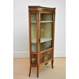 A late 19th century French vitrine with brass galleried top and gilt metal applied decoration,