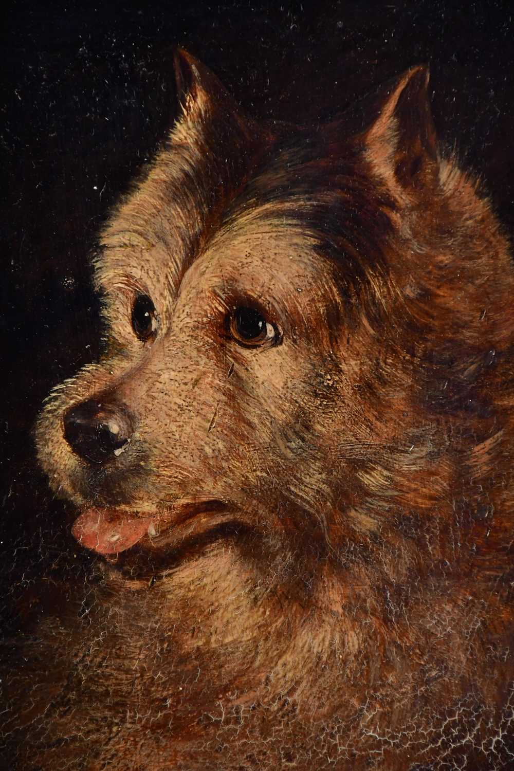 ENGLISH SCHOOL; 19th century oil on panel, portrait of a dog, unsigned, 18 x 13cm, framed. - Image 2 of 2