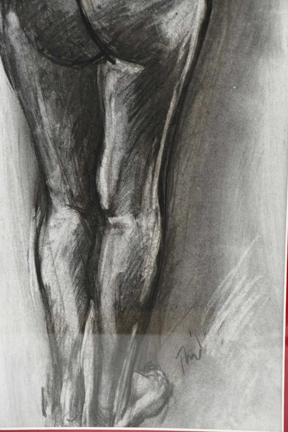 T M; charcoal study of female nude, signed lower right, 68 x 25cm, framed and glazed. - Image 2 of 4