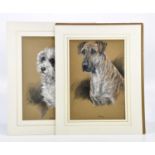† K C BROWN; pair of watercolours, dogs, 'BEN' and 'PENNY', signed and both dated 1941, 47 x 33cm,