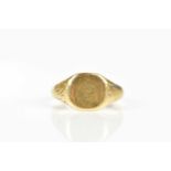 A 9ct yellow gold signet ring, size W, approx weight 6.3g.