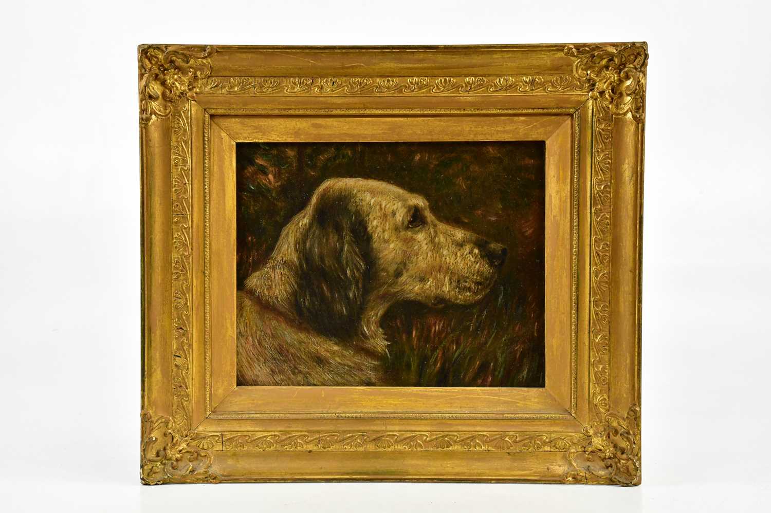 ENGLISH SCHOOL; later 19th century oil on board, ‘Champion English Setter Bob O’Leck’, titled verso,