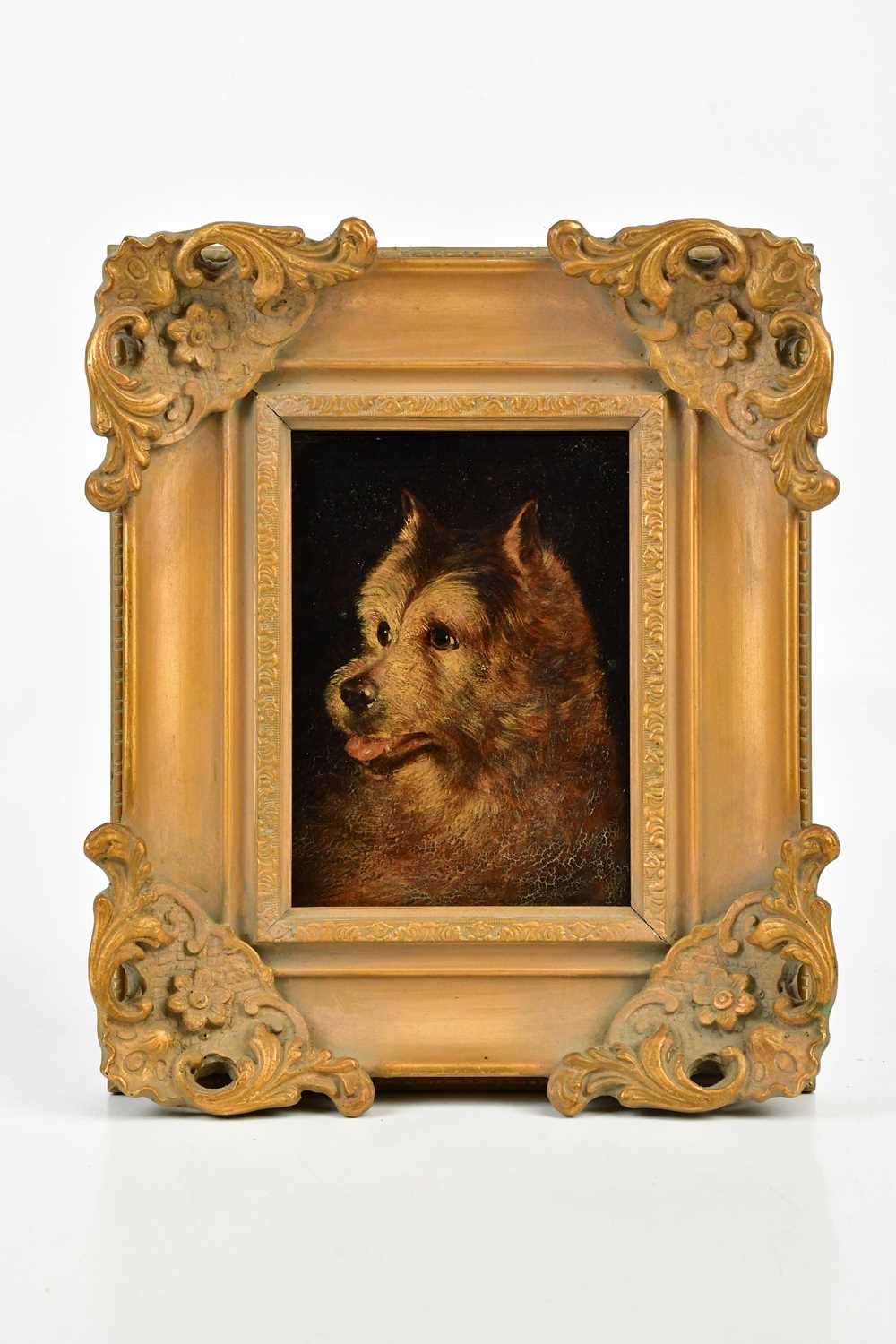 ENGLISH SCHOOL; 19th century oil on panel, portrait of a dog, unsigned, 18 x 13cm, framed.