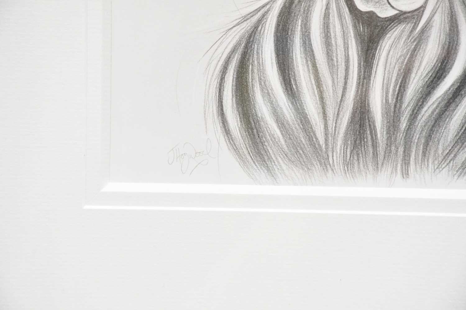 † JENNIFER HOGWOOD; pencil sketch, 'Big Star (drawing)', signed lower left, 26 x 28cm, framed and - Image 3 of 4