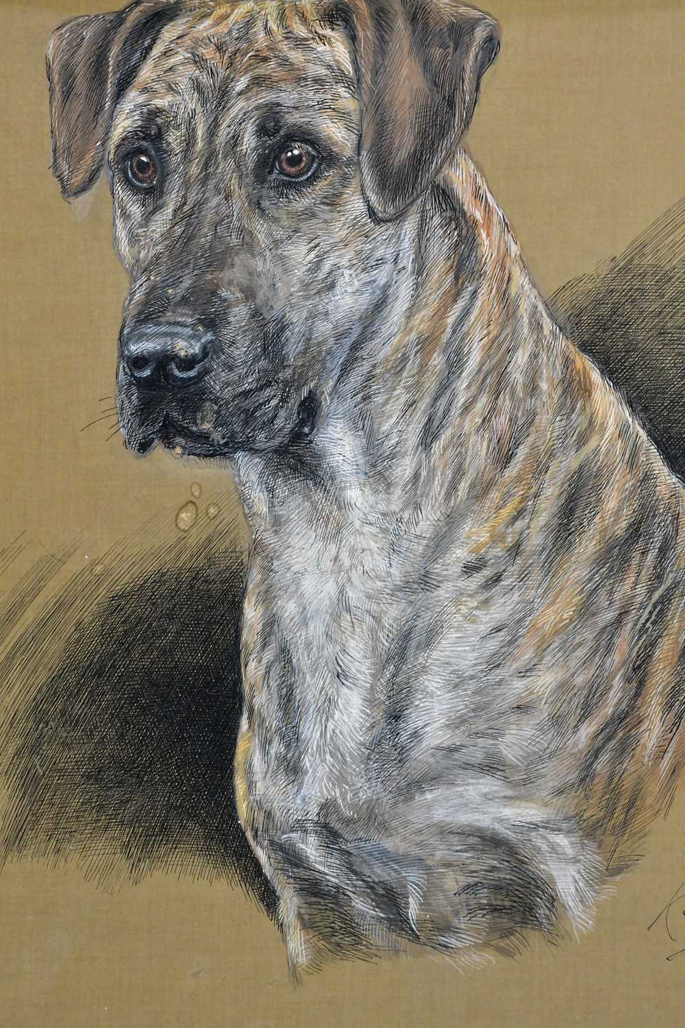 † K C BROWN; pair of watercolours, dogs, 'BEN' and 'PENNY', signed and both dated 1941, 47 x 33cm, - Bild 2 aus 4