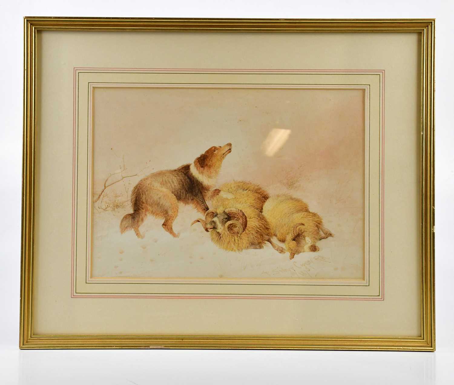 THOMAS SIDNEY COOPER CVO RA (1803-1902); watercolour, sheepdog and rams, signed lower left, 24 x