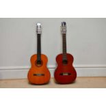 A Yamaha C-40 acoustic guitar and a Terada acoustic guitar model no. G310 (2).