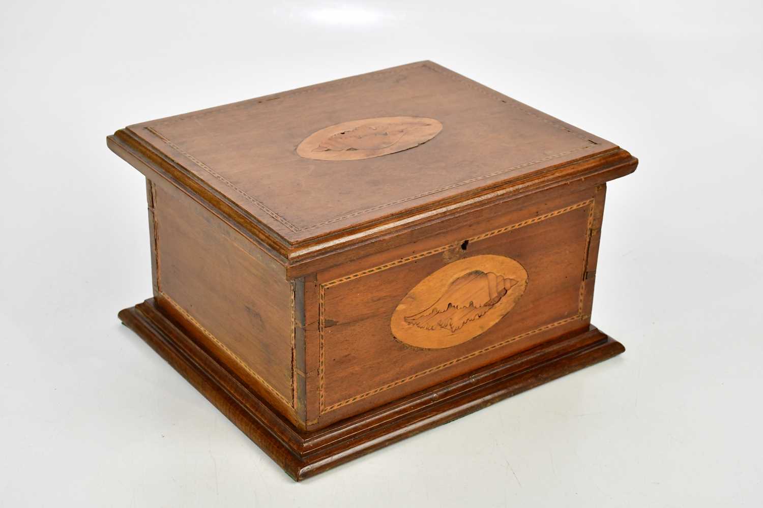 An Edwardian inlaid mahogany box of rectangular form, width 30cm, depth 26cm, height 18cm.