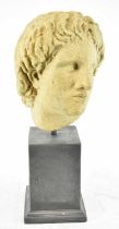 A modern decorative fibreglass bust of a classical figure, height 60cm.