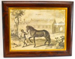 WELBECK; a 19th century rosewood framed black and white engraving, 'Mackomilia un Turke',