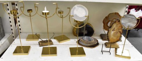 A group of nine gilt metal stands, all with fossil cross sections, diameter of largest 20cm.