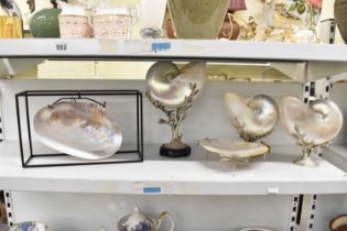 A pair of white metal mounted mother of pearl shells, height 18cm, a mother of pearl dish with white