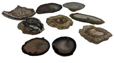A group of nine crystals and fossil cross sections including amethyst, fossilised wood sections, etc