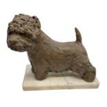 A bronze model of the Supreme Champion at Crufts dog "Olac moon pilot", on white marble base, height