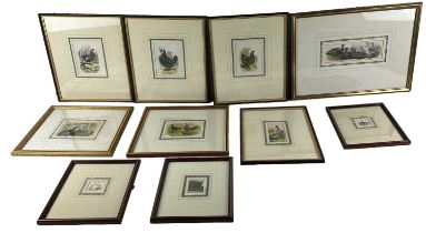 A group of ten prints of birds including chickens, geese, ducks, etc.