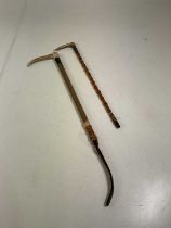 Two horn handled and silver collared sticks, length 51cm.