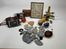 A set of postal scales with weights, a microscope (incomplete), cameras, specimens etc.