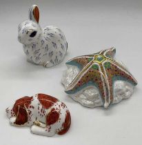 ROYAL CROWN DERBY; paperweights comprising Starfish Pop with gold stopper, Snowy Rabbit with gold