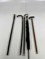 A collection of walking sticks comprising two walking sticks with horn handles, one with a silver