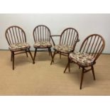 ERCOL three dark stained dining chairs and a carver with later cushions, height 80cm.