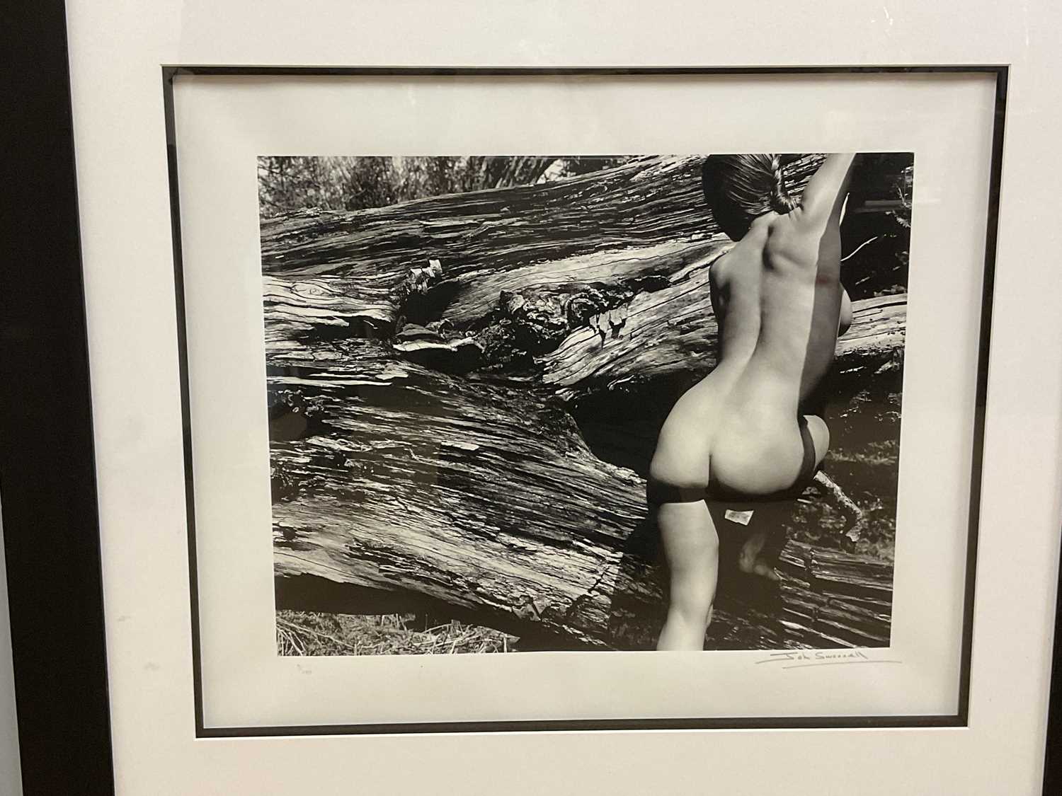 † JOHN SWANNELL; signed limited edition black and white photographic print, 'Naked Landscape Plate - Image 2 of 4