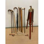 A collection of walking sticks including some with white metal mounts, an umbrella, a thumb stick,