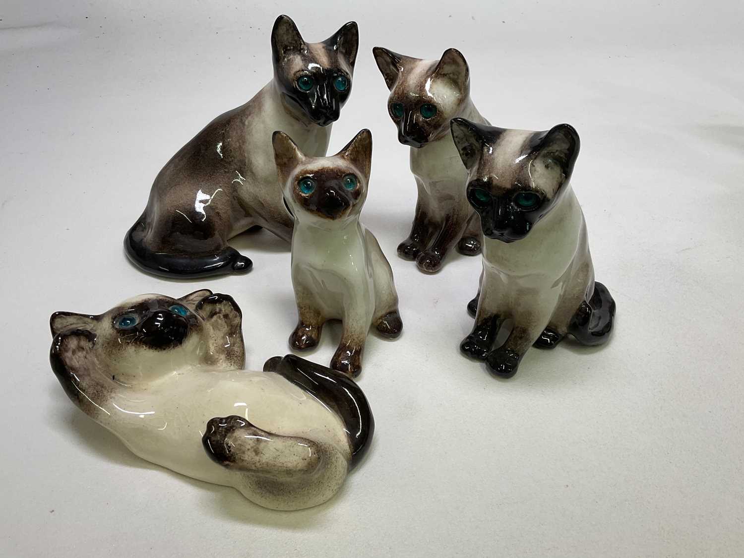 WINSTANLEY; Siamese cats comprising mother and four kittens with blue glass eyes, all signed to
