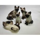 WINSTANLEY; Siamese cats comprising mother and four kittens with blue glass eyes, all signed to