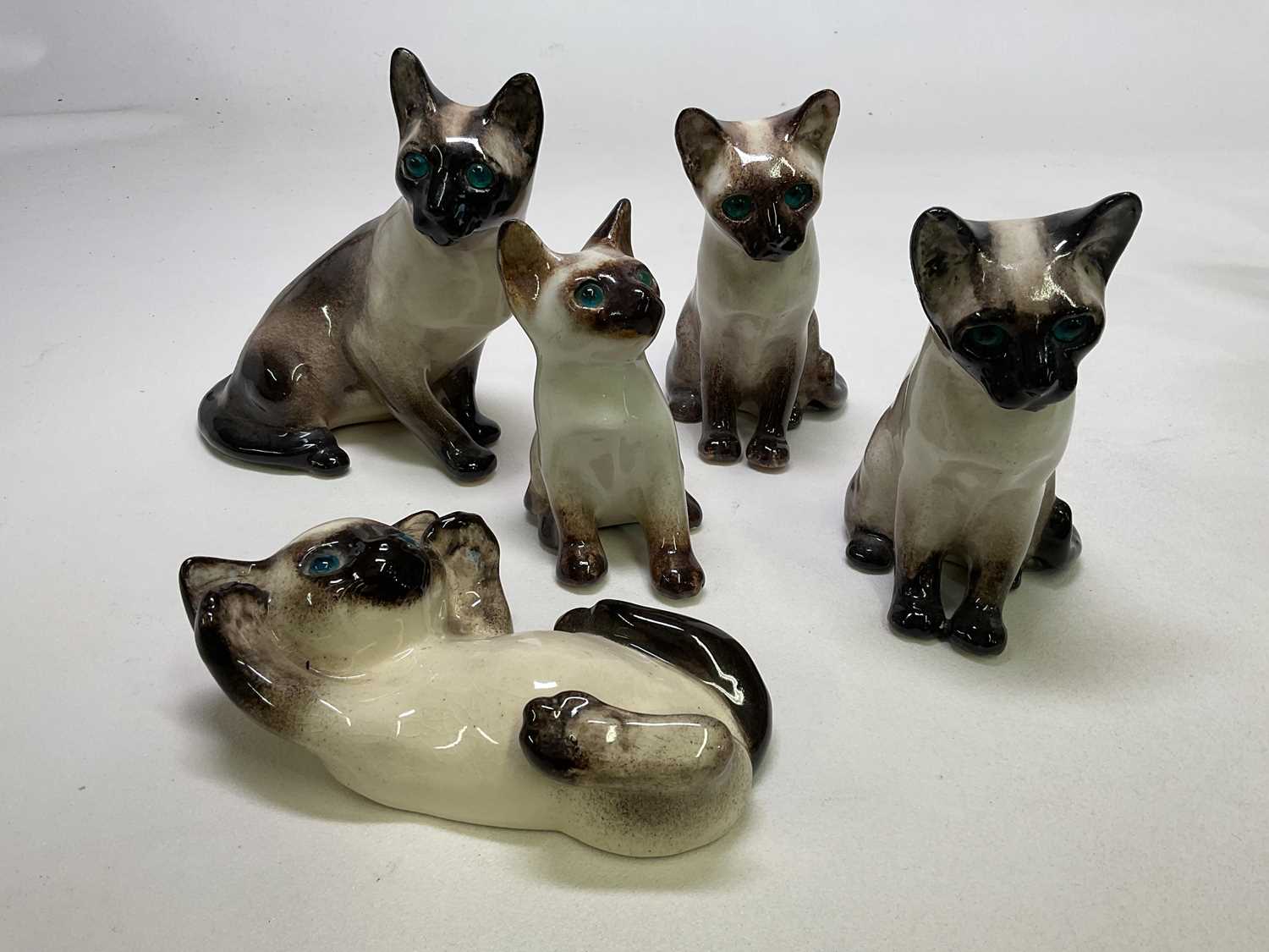 WINSTANLEY; Siamese cats comprising mother and four kittens with blue glass eyes, all signed to - Image 2 of 3