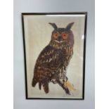 † DAVID KOSTER; signed limited edition coloured print, study of an owl, 19/30, 80 x 55cm, framed and