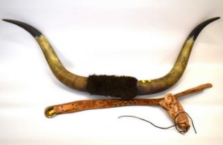 A pair of cow horns, width 137cm, together with a modern leather gunslinger's belt with five spent