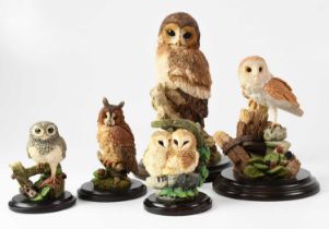 COUNTRY ARTISTS; five owl figures, comprising a large example, height 19.5cm, CA744G 'Moments Rest',