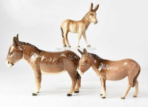 BESWICK; three donkeys, height of largest 14cm (3).