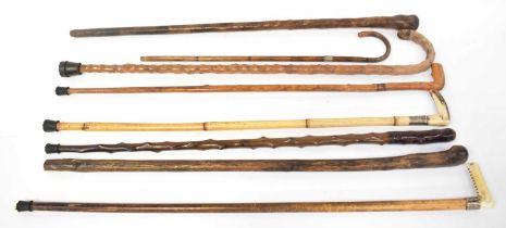 Eight various walking sticks and canes including two horn-topped silver collared examples, two