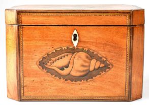 A Georgian inlaid satinwood two-section tea caddy with marquetry inlaid shell to lid and front,