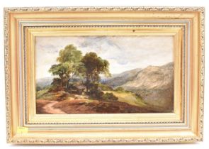 UNATTRIBUTED; 19th century oil on board, mountain track, unsigned, 19 x 33cm, framed. Condition
