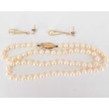 A single strand of cultured pearls with 9ct gold clasp, length 42cm, and a matching pair of